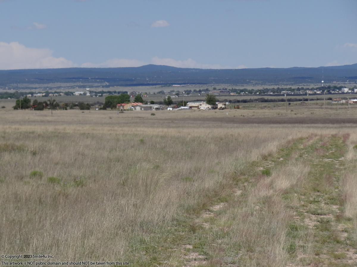 3 acres land in Moriarty, NM 45 minutes E of Albuquerque has power close.